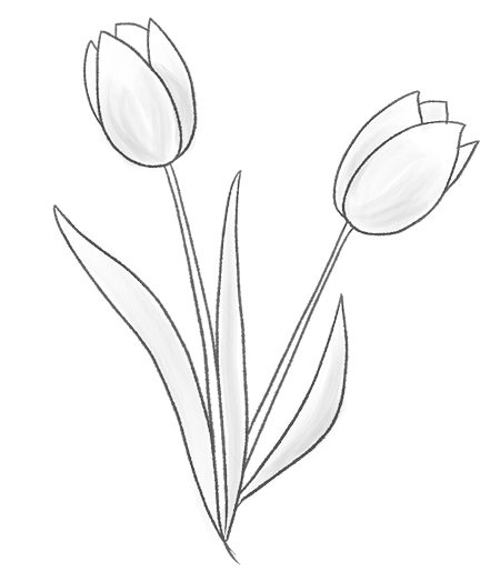 Hand draw Flower